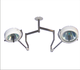 Twin dome ceiling light